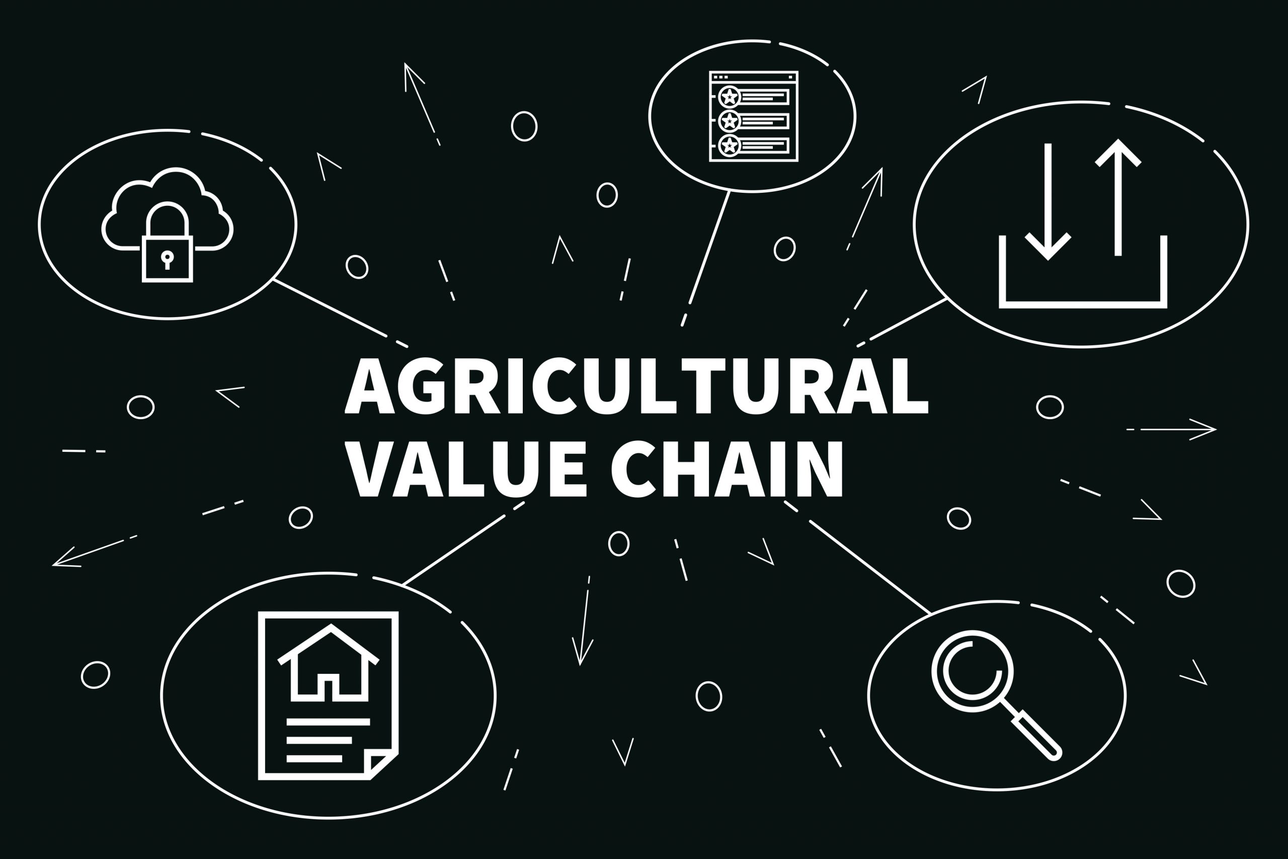 Agri Value chain – shutterstock_1025083831
