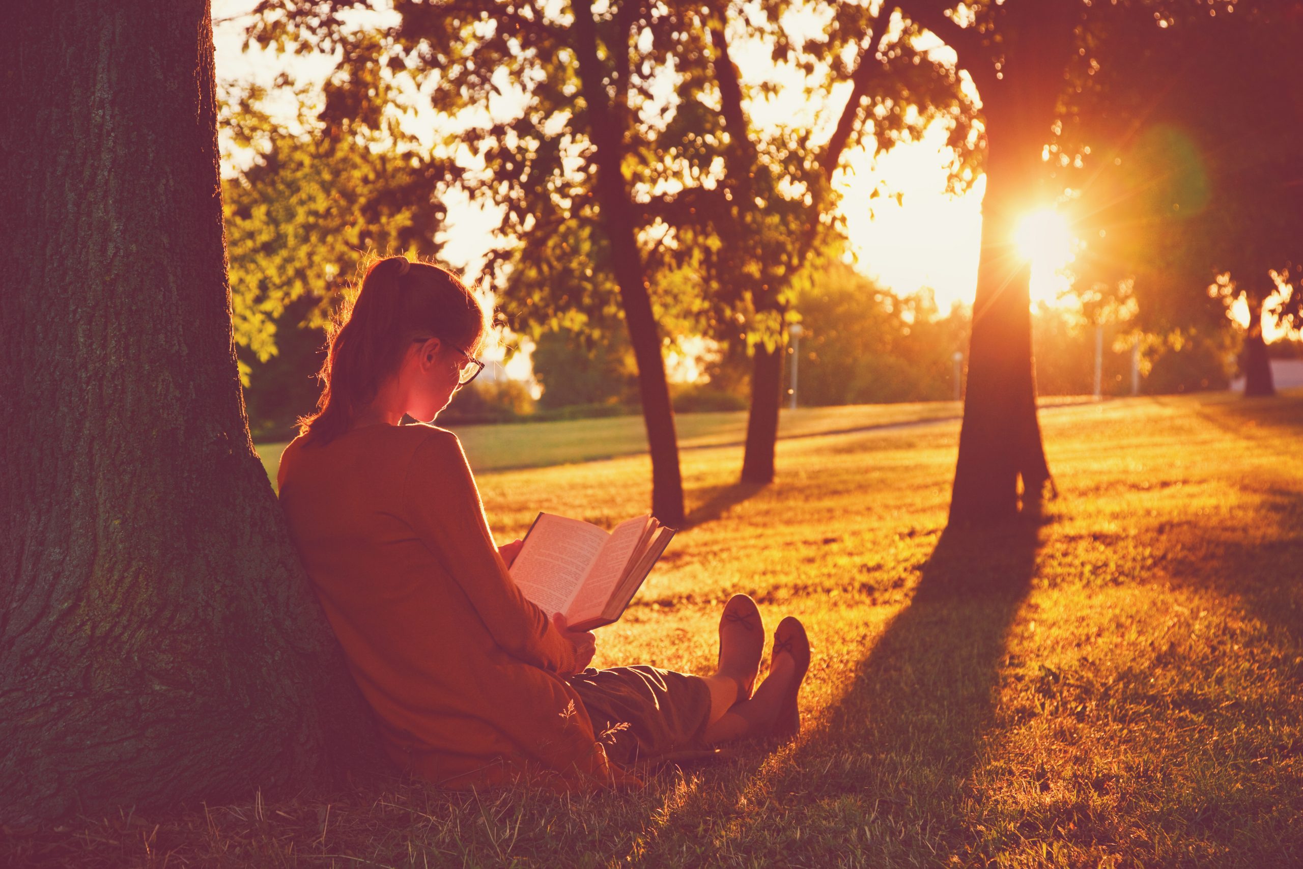 Girl,Reading,Book,At,Park,In,Summer,Sunset,Light